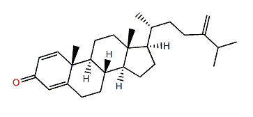 24-Methylenecholesta-1,4,22-trien-3-one