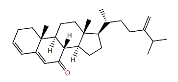 24-Methylenecholesta-3,5-dien-7-one