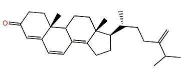 24-Methylenecholesta-4,6,8(14)-trien-3-one