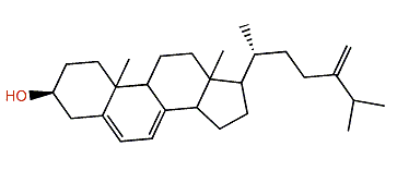 24-Methylenecholesta-5,7-dien-3b-ol