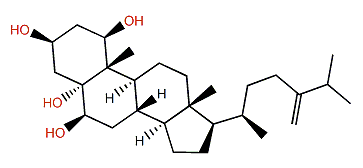 24-Methylenecholestane-1b,3b,5a,6b-tetrol