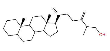 24-Methylenecholestanol