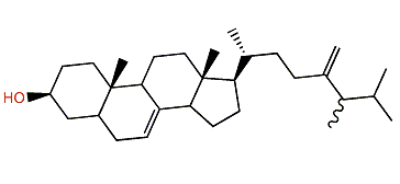 26,26-Dimethyl-24-methylenecholest-7-en-3-ol