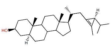 (24S)-24H-5a-Isocalystan-3b-ol