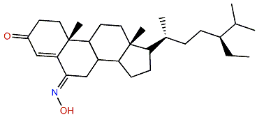 (24R,6E)-24-Ethylcholest-6-hydroximino-4-en-3-one
