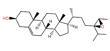 (24R,28S)-Epoxyfucosterol