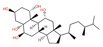 (24S)-Ergostane-1a,3b,5a,6b,11a-pentaol