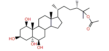 (24S)-Ergostane-1b,3b,5a,6b-tetraol-25-monoacetate