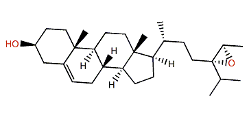 (24S,28R)-Epoxyfucosterol