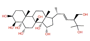(22E,24S)-24-Methyl-5a-cholest-22-en-3b,4b,5,6a,8,14,15a,25,28-nonol