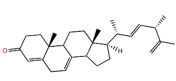(22E,24S)-24-Methylcholesta-4,7,22,25-tetraen-3-one