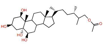 (24S)-24-Methylcholestane-1b,3b,5a,6b,25-pentol 25-monoacetate