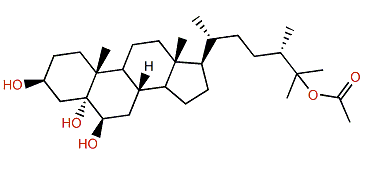 (24S)-24-Methylcholestane-3b,5a,6b,25-tetrol-25-monoacetate