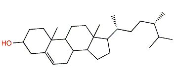 (24S)-24-Methylcholesterol