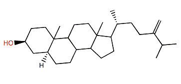 24-Methyl-5a-cholest-24(28)-en-3b-ol