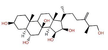 24-Methyl-5a-cholest-24(28)-en-3b,6a,8,15b,16b,26-hexol