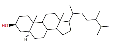 24-Methyl-5a-cholestane-3b-ol