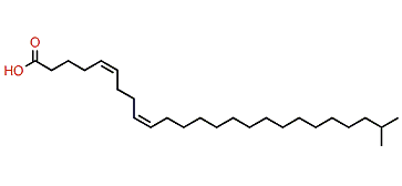 (Z,Z)-24-Methyl-5,9-pentacosadienoic acid