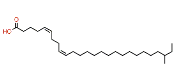 (Z,Z)-24-Methyl-5,9-hexacosadienoic acid