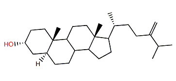 24-Methylcholest-24(28)-en-3a-ol