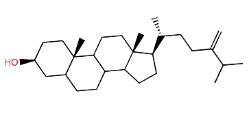 24-Methylcholest-24(28)-en-3b-ol
