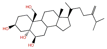 24-Methylcholest-24(28)-en-3b,5a,6b,19-tetrol