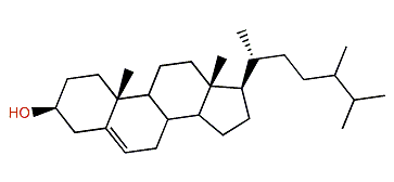 24-Methylcholest-5-en-3b-ol