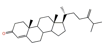 24-Methylcholesta-4,24(28)-dien-3-one