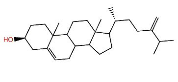 24-Methylcholesta-5,24(28)-dien-3b-ol