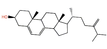 24-Methylcholesta-5,7,24(28)-trien-3b-ol