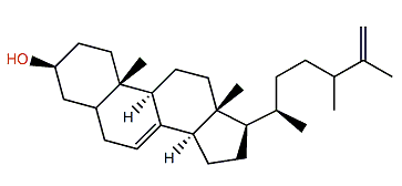 24-Methylcholesta-7,25-dien-3b-ol