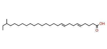 24-Methyl-5,9-hexacosadienoic acid