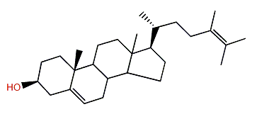 24-Methylcholesta-5,24-dien-3b-ol