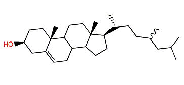 24xi-Methylcholest-5-en-3b-ol