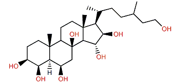 (24xi)-24-Methyl-27-nor-5a-cholest-22-en-3b,4b,6b,8b,15a,16b,25-heptol