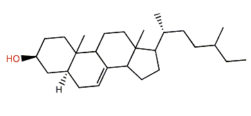 (24xi)-24-Methyl-27-nor-5a-cholest-7-en-3b-ol