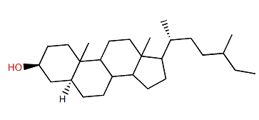 (24xi)-24-Methyl-27-nor-5a-cholestane-3b-ol