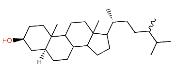 (24xi)-24-Methyl-5a-cholestane-3b-ol