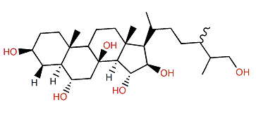 (24xi)-24-Methyl-5a-cholestane-3b,6a,8,15a,16b,26-hexol