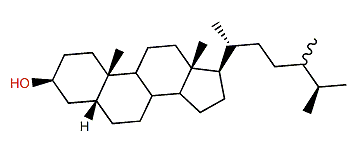 (24xi)-24-Methyl-5b-cholestane-3b-ol
