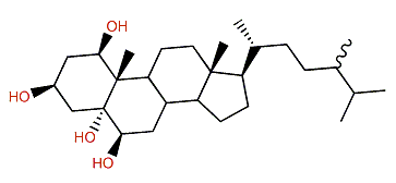(24xi)-24-Methylcholestane-1b,3b,5a,6b-tetrol