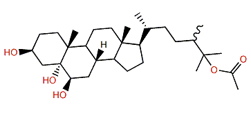 (24xi)-24-Methylcholestane-3b,5a,6b,25-tetrol-25-monoacetate