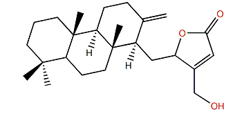 25-Hydroxy-13(24),17-cheilanthadien-16,19-olide