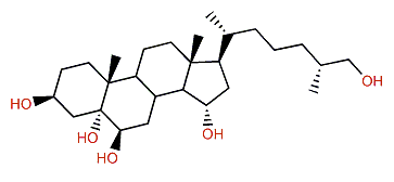 (25R)-5a-Cholestane-3b,5,6b,15a,26-pentol