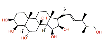 (22E,24R,25S)-24-Methyl-5a-cholest-22-en-3b,4b,6a,8,15b,16b,26-heptol