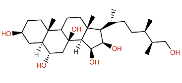 (24R,25S)-24-Methyl-5a-cholestane-3b,6a,8,15b,16b,26-hexol