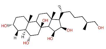 (25S)-5a-Cholestane-3a,6a,8,15b,16b,26-hexol