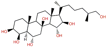 (25S)-5a-Cholestane-3b,4b,6a,8,15a,16b,26-heptol