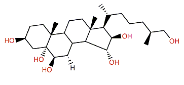 (25S)-5a-Cholestane-3b,5,6b,15a,16b,26-hexol
