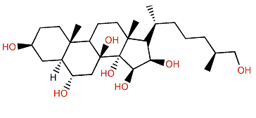 (25S)-5a-Cholestane-3b,6a,8,14a,15b,16b,26-heptol